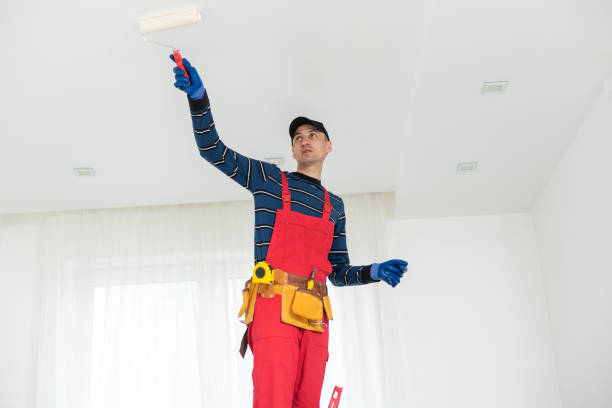 Best Commercial Painting  in Balm, FL